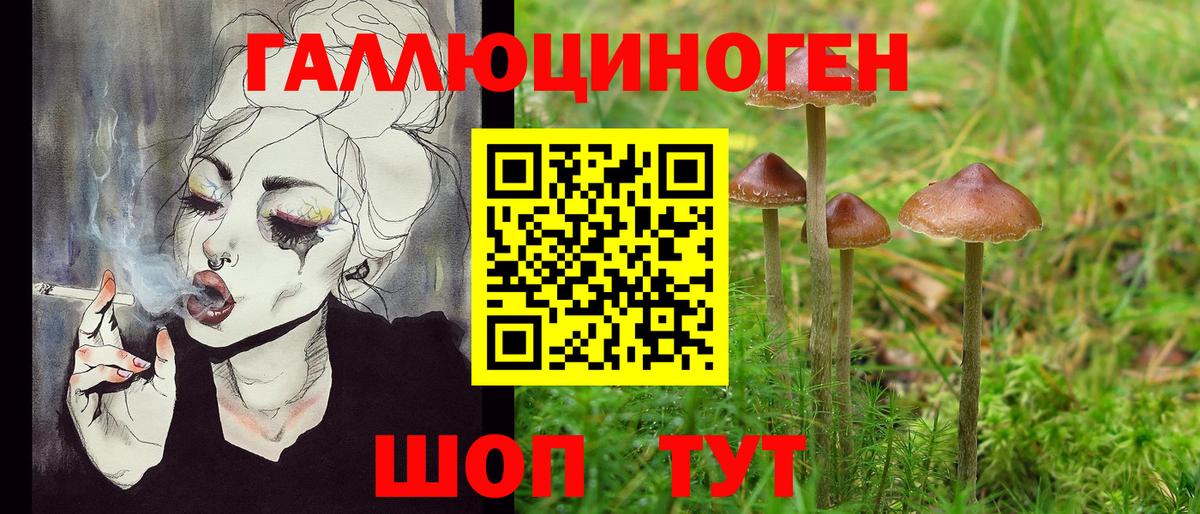 Галлюциногенные грибы Psilocybe Ивантеевка